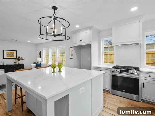 Modern Kitchen Design in Renovated Fort Worth Home
