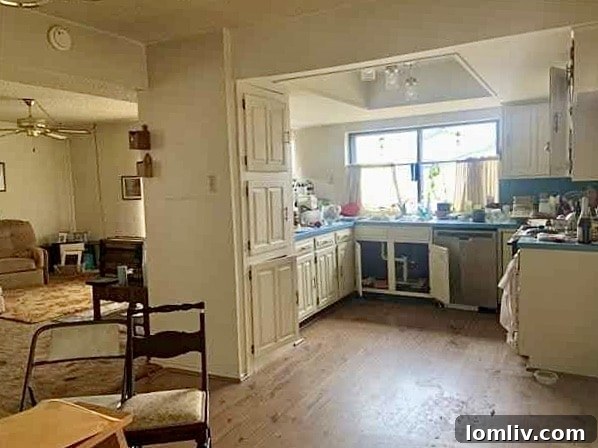 Richardson Real Estate Fixer Upper Versus Done Deal 6 13 Grant Circle Richardson Kitchen