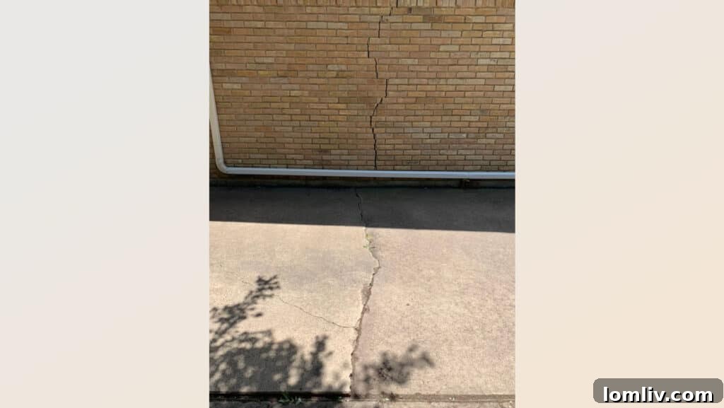 A significant crack extending from pavement up a brick wall, indicating severe foundation stress.