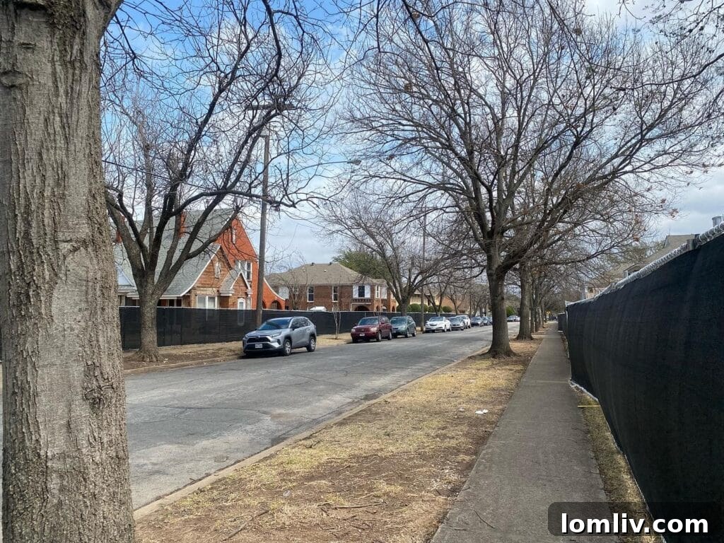 W.-8th-Demolition-Fence-1024x768