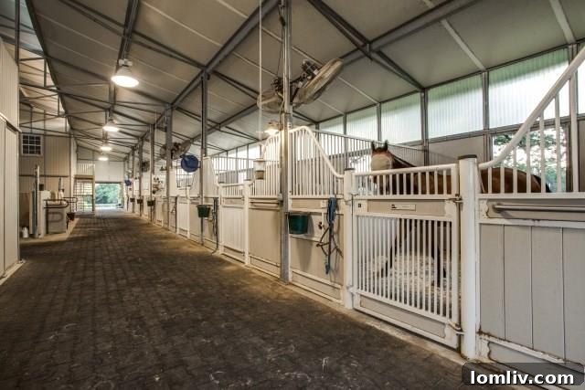 480HouseA - View of the expansive equestrian facilities, including paddocks and barn