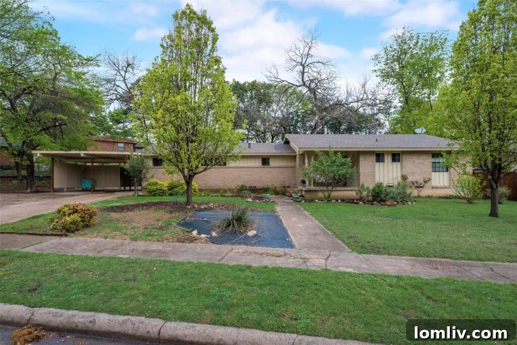 Inviting interior shot of the artist's home, showcasing its warm Santa Fe color palette and cozy atmosphere.