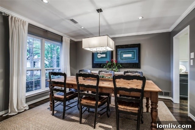 Spacious open-plan living area flowing into a dining space, bathed in natural light