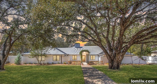 Encanto's Casita: Do You Believe in a Home with a Heartbeat? 2 Front-21