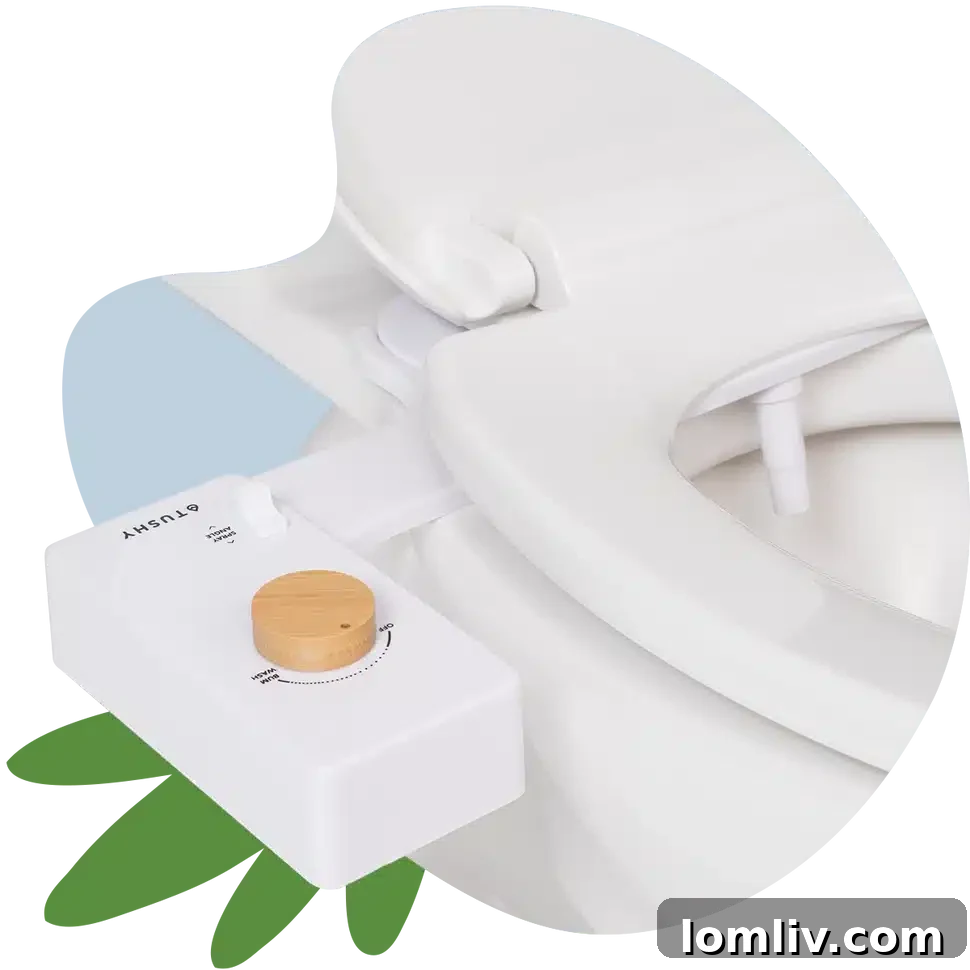 Conceal Bidet Attachments When Selling