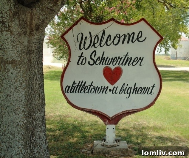 schwertner-texas