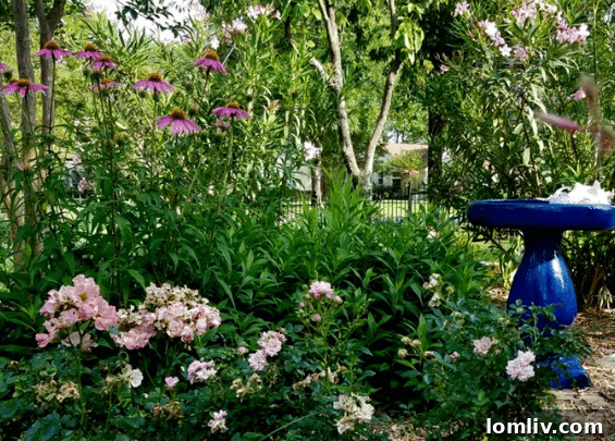 Illustration of the White Rock East Garden Tour logo