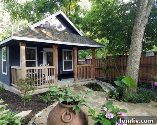A beautifully manicured garden with various plant textures