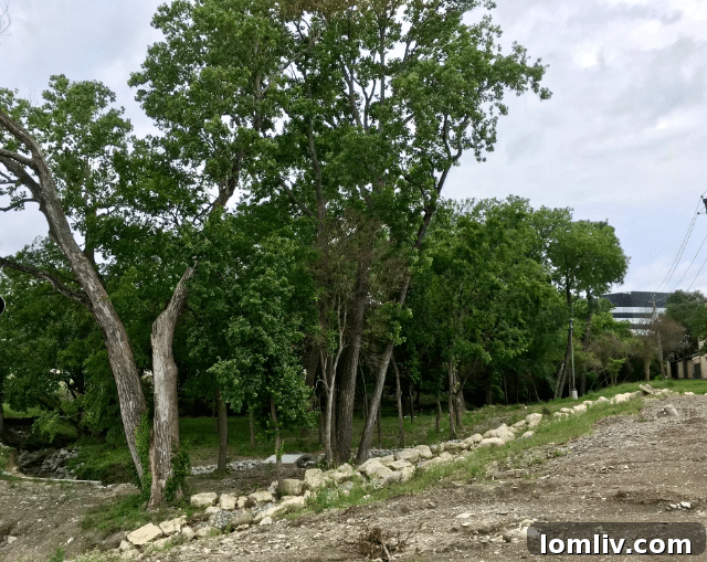 C2C0B228-4FA4-4316-9B9C-578DADDB483D