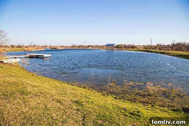 Outdoor Kitchen for Entertaining on Fort Worth Luxury Property