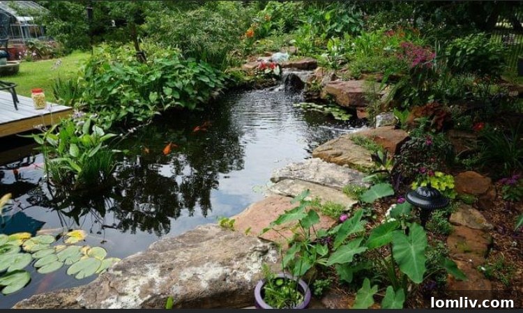 North Texas Water Garden Tour: Explore Exquisite Koi Ponds 2 Serene water garden with colorful koi fish, lily pads, and lush aquatic plants, reflecting a clear blue sky, featured on the Dallas Tour of Ponds.