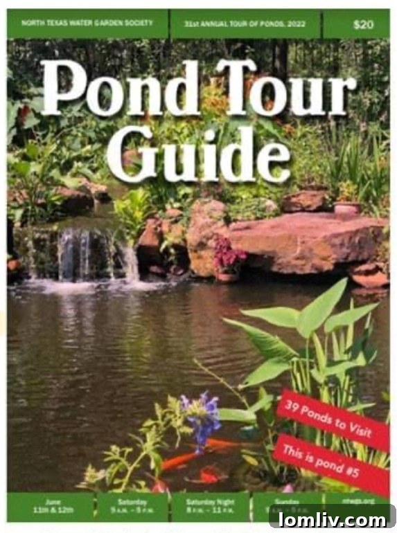 North Texas Water Garden Tour: Explore Exquisite Koi Ponds 4 A tranquil backyard pond with a small waterfall, surrounded by lush green foliage and decorative rocks, offering a serene focal point.