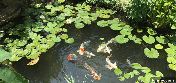North Texas Water Garden Tour: Explore Exquisite Koi Ponds 5 A serene backyard pond featuring a multi-tiered waterfall, surrounded by lush greenery, colorful flowers, and stepping stones, reflecting the beauty of a natural oasis.