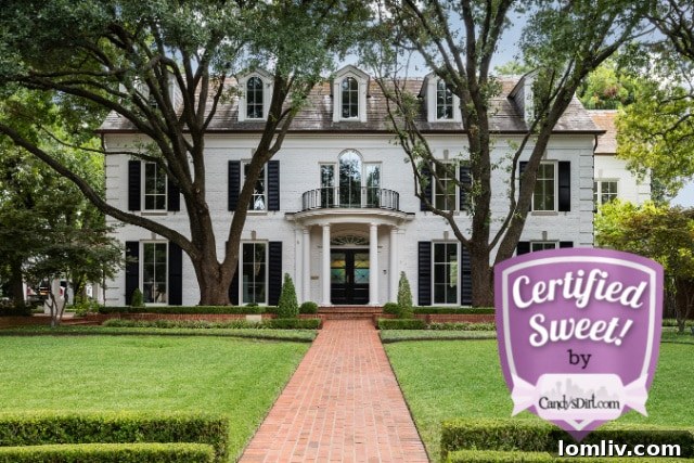 Streiff-Group-Reedit_TU-1