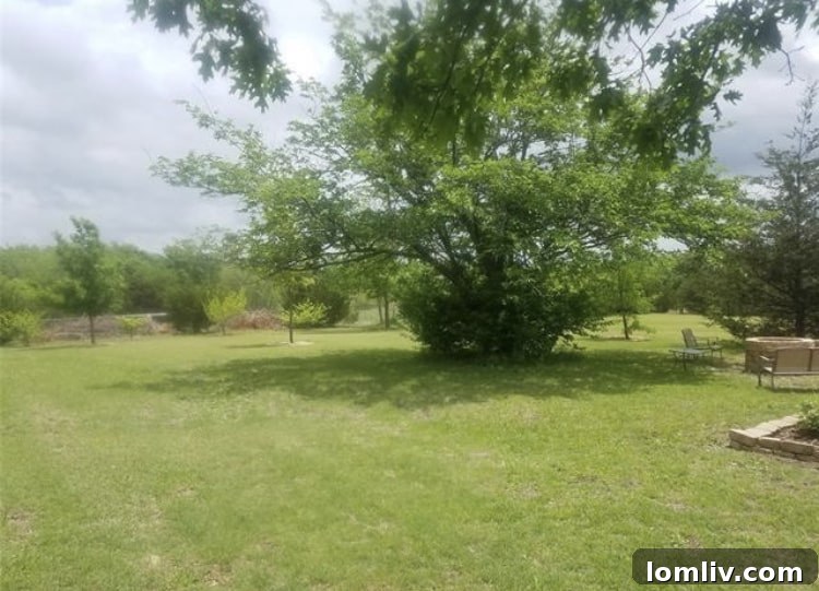 Ignite Your Fourth: A New Home Perfect for Unforgettable Celebrations 13 IMG_1731