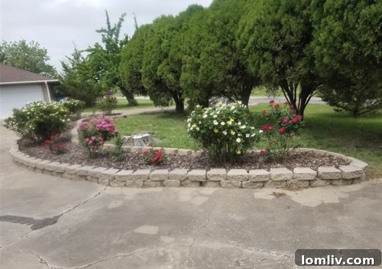 Ignite Your Fourth: A New Home Perfect for Unforgettable Celebrations 14 IMG_1731