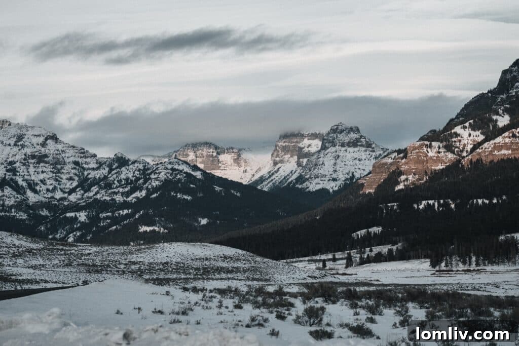 Snow-covered landscape in a national park, showcasing winter beauty and solitude