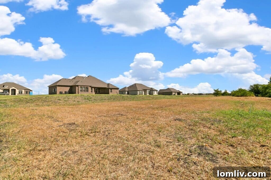 Blank slate backyard with covered patio potential for outdoor kitchen