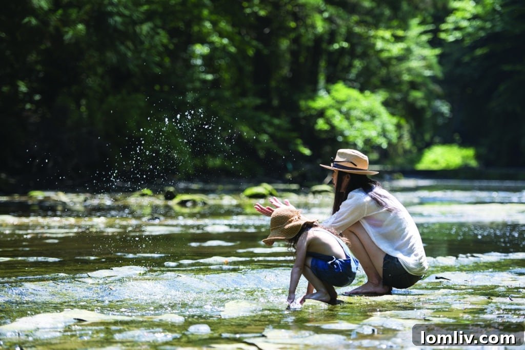 Tyler and High Hill: North Texas's Emerging Powerhouses 7 An inviting rendering of a High Hill Development home, blending luxury with natural beauty