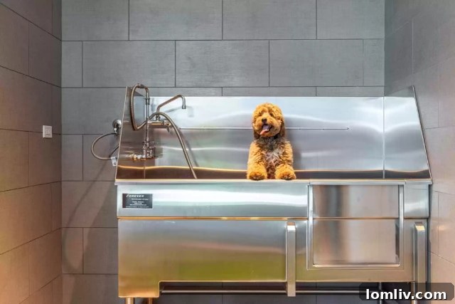 Hall-Arts-O - Luxury Condo Services