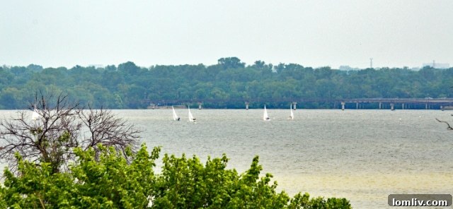 Scenic view of White Rock Lake, a beloved Dallas landmark, showcasing its natural beauty and importance to the community.