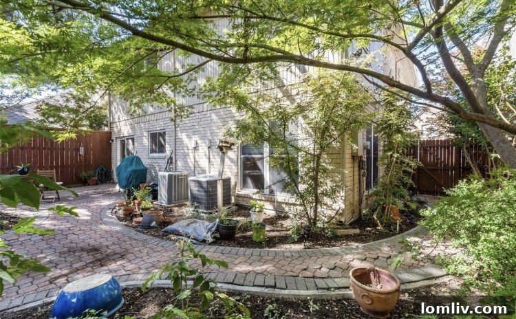 Plano Home Backyard View