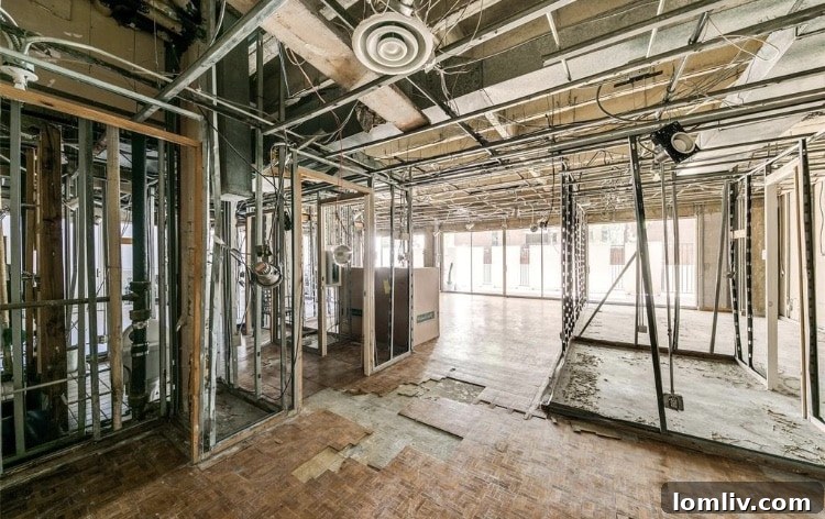 Spacious living area within the renovated Unit T1, showcasing natural light and contemporary finishes