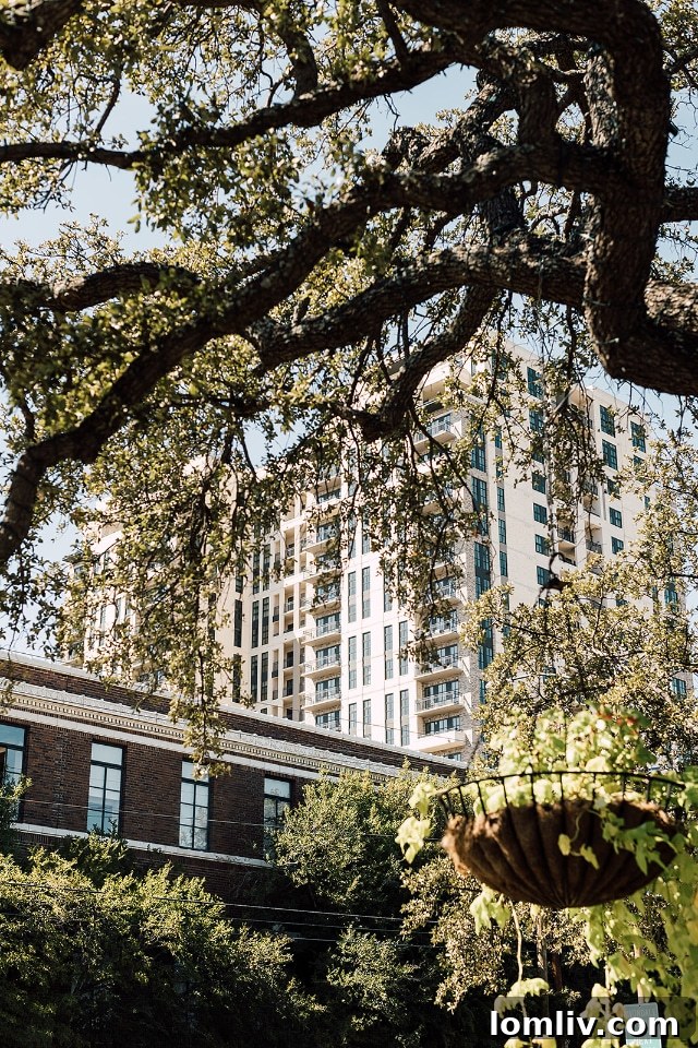 Interior view of a luxurious kitchen with gas range and high-end finishes at NOVEL Turtle Creek.