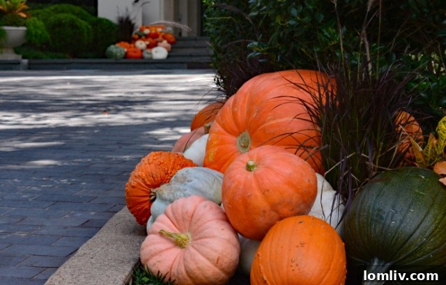 A diverse collection of pumpkins and gourds in various shapes, sizes, and textures, including short, tall, squat, skinny, and bumpy varieties.
