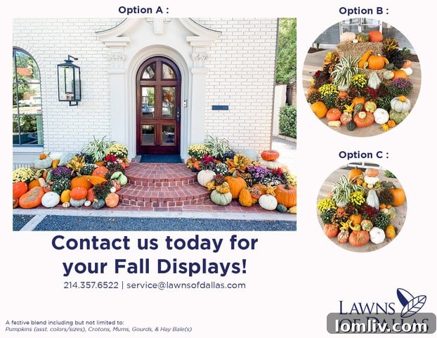 A vibrant and professionally arranged fall pumpkin display with various pumpkins, gourds, and fall plants by Lawns of Dallas.