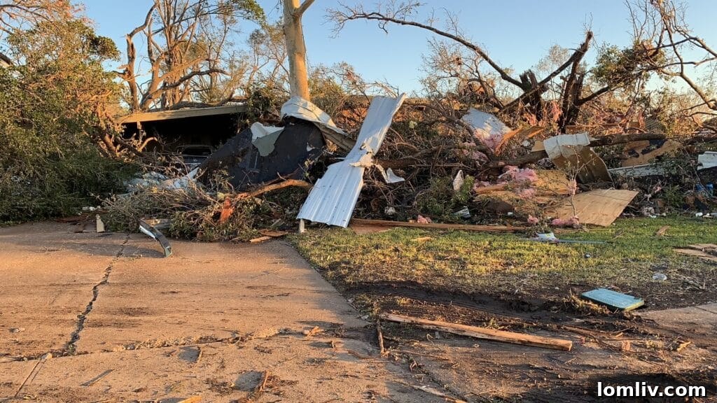 Modern living room with expansive windows and contemporary furniture