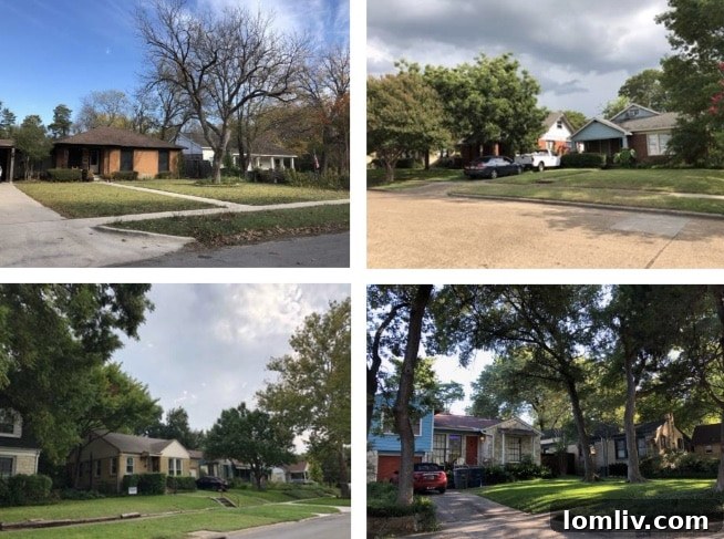 Visual representation of the West Oak Cliff Area Plan's key strategies for equitable development