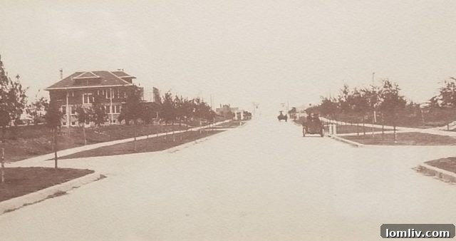 Elizabeth Boulevard Fort Worth showing historic homes and vacant lots