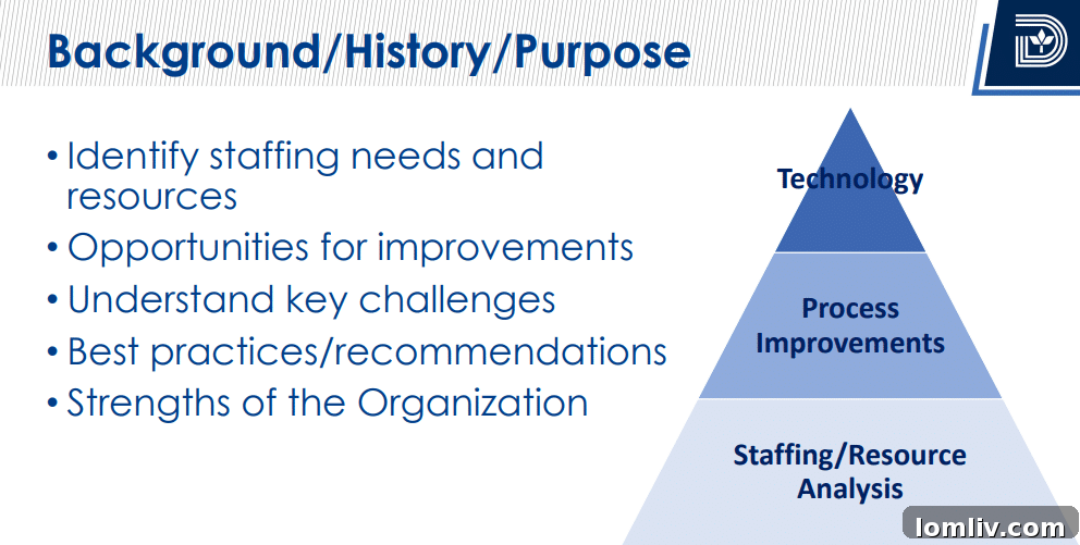 Dallas Development Services Department workflow illustration