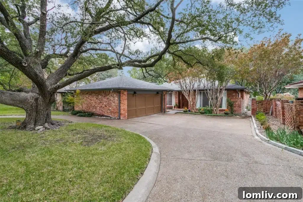 Lakewood's Rarest Gem 3 6c74543f8f69167e22ab8cd5e4d6bcd7l-m1332152721od-w1024_h768_x2_var-q2-1024x683