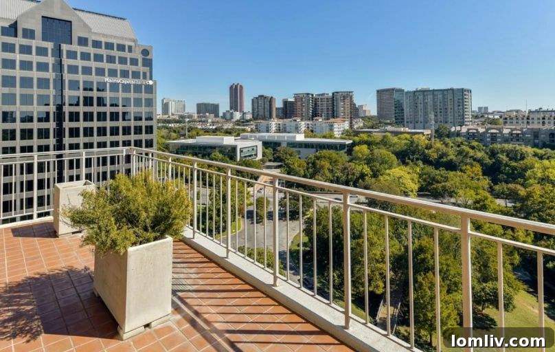 Dallas High-Rise Terrace