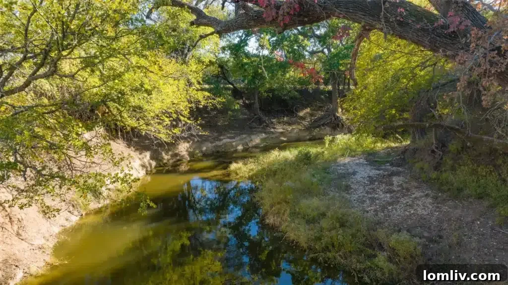 Bosque River property Fences Ranch
