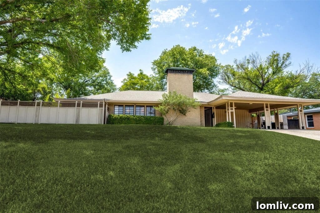 Inviting Mid-Century Living Space