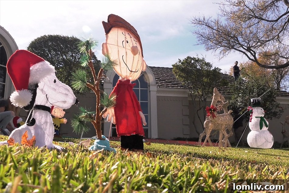 Dazzling display of holiday lights in Interlochen, Arlington