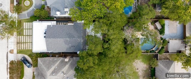 Highland Park Contemporary: An Architecture of Enduring Delight 20 Well-maintained garden and pathways leading to various outdoor features