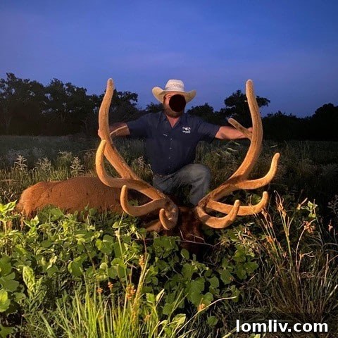 Dybowski's Sika Deer Hunting at Kettle Hollow Ranch