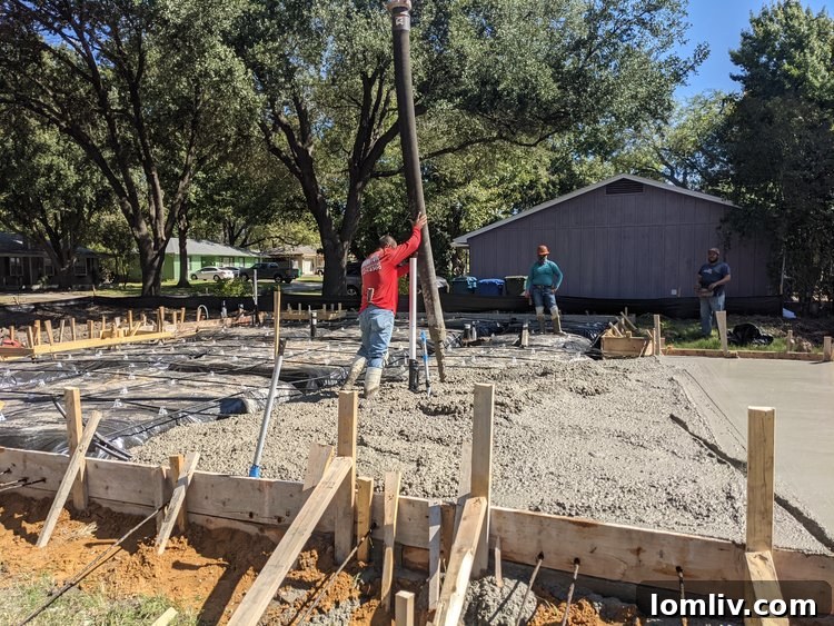 Another view of the neglected property at 1300 Francis Street, Carrollton, highlighting the extensive overgrowth
