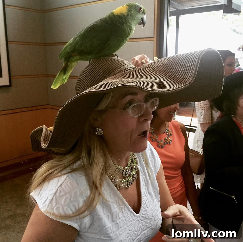 Josie, the yellow-naped Amazon, enjoying her indoor cage.