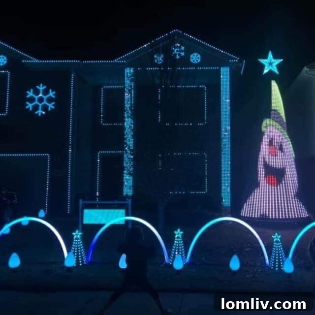 Dazzling animated LED Christmas lights display on Trail Creek Drive, Fort Worth