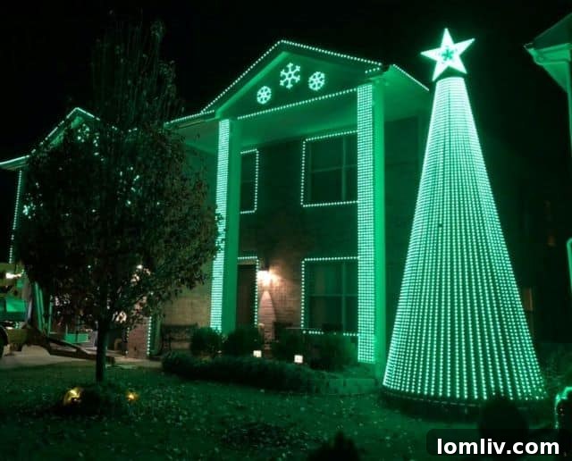 Families dancing on the sidewalk enjoying the animated LED Christmas lights show on Trail Creek Drive