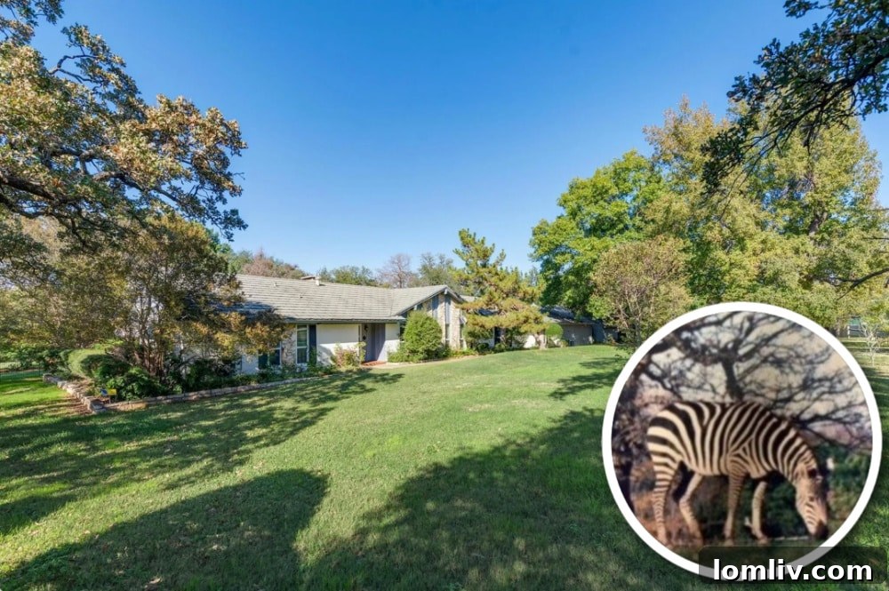 The iconic Zebra House property in Colleyville, once home to Buddy the zebra.