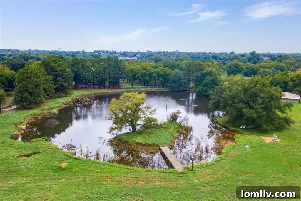 A panoramic view of the Colleyville estate, highlighting its natural beauty and privacy.