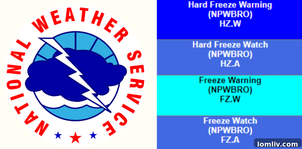 National Weather Service color codes for freezing weather