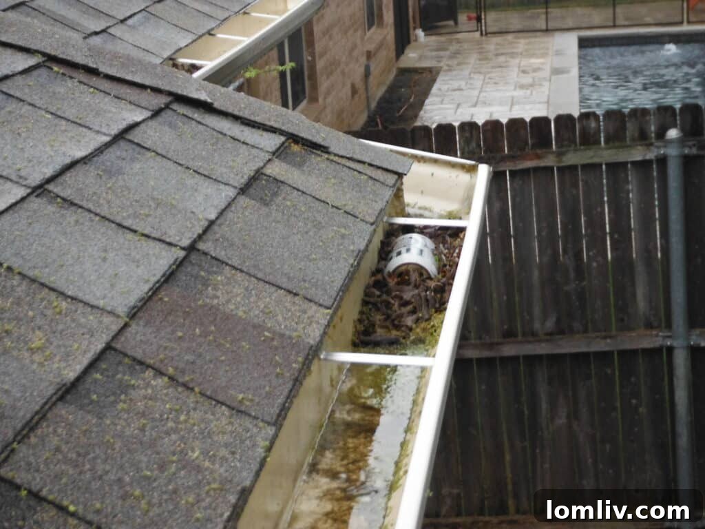 Clogged gutter with debris, risking ice dam formation