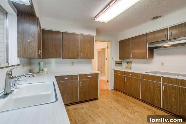 Efficient Mid-Century Modern kitchen with Formica countertops